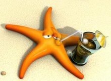 [My_Starfish[3].jpg]