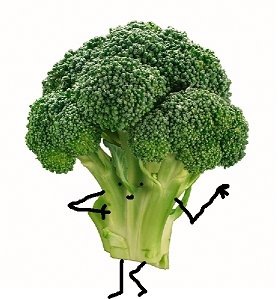 [brocolli[3].jpg]