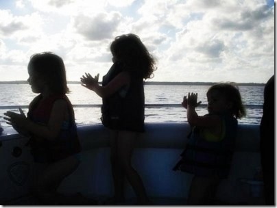 dolphin hunt