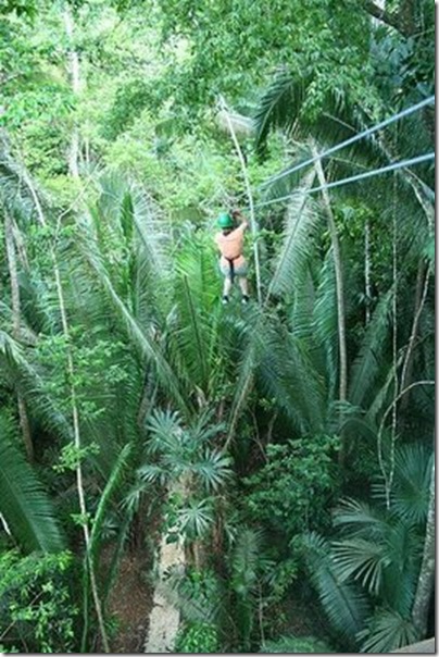 zipline