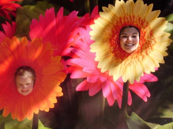 [more mums[3].jpg]