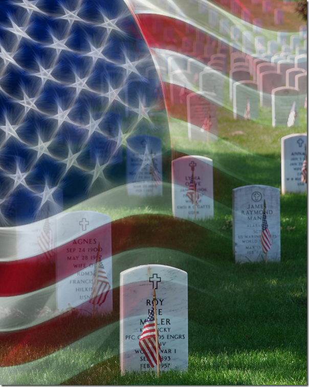 veterans day