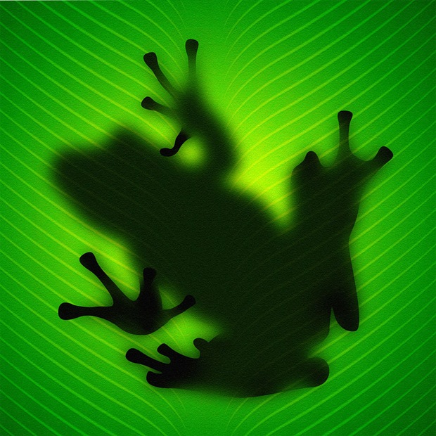 Frog-on-green-leaf-ipad-wallpaper