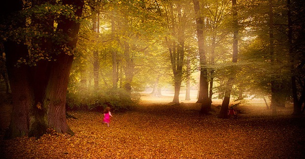 Featured Photography of The Week (Nov 5) Best-photography-of-the-week