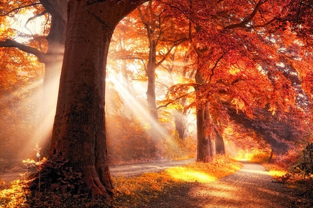 -Photos-of-fall -Photos-of-fall