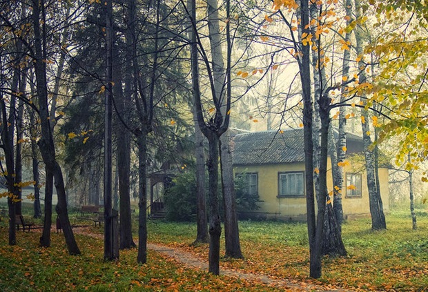 28-Fall-photography 28-Fall-photography