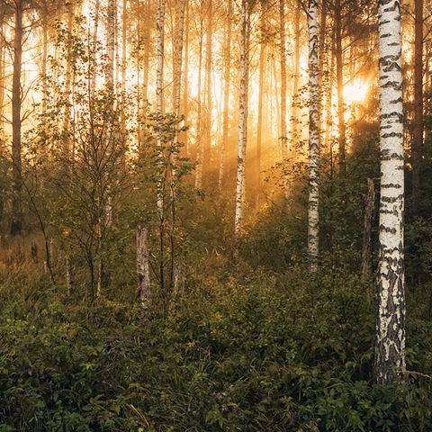 [23Fallphotography3.jpg]