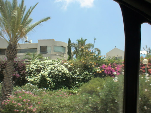 Страница Виртуальных Путешественников -В Израиль  вертолетом и Пешком DSC00806