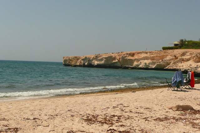 [P1020452[2].jpg]