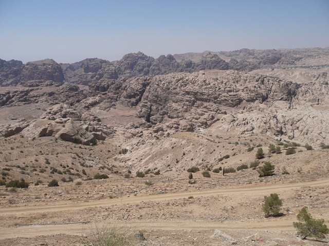 [P1020728[2].jpg]