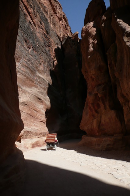 [P1020743[6].jpg]