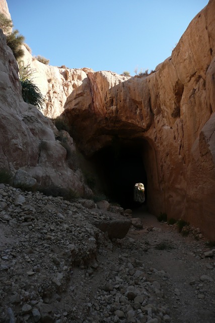 [P1020833[5].jpg]