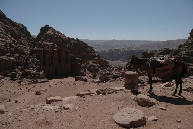 [P1020908[2].jpg]