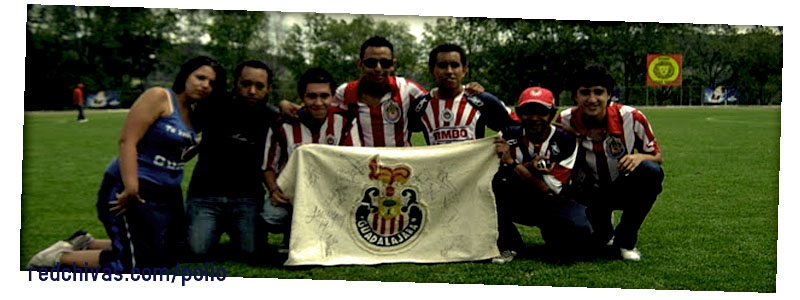 http://lh6.ggpht.com/_7rInutftBVA/S4xzcA-9G-I/AAAAAAAADwQ/6K2nRSn8swQ/s800/m19.jpg