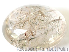 kecubung rambut putih kecubung rambut putih