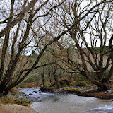 DSC_0731.JPG