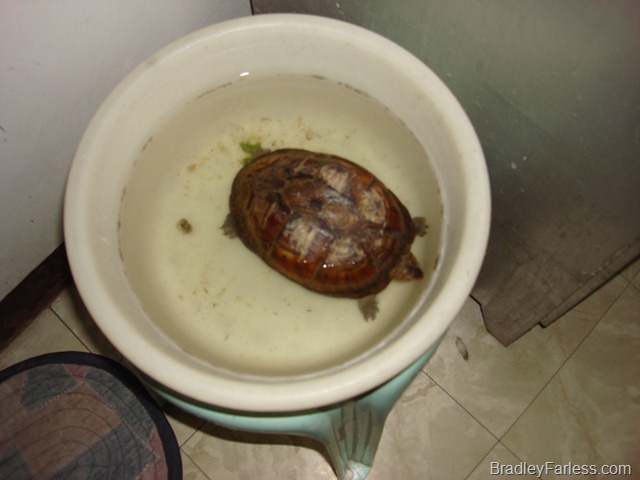 [DSC050015.jpg]