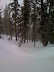 IMG_0166.JPG