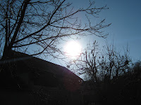 IMG_0180.JPG