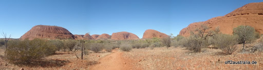 Olgas