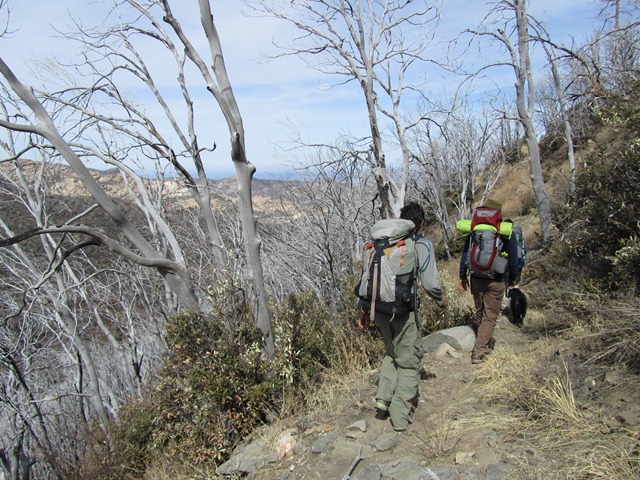 [IMG_65223.jpg]