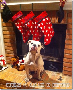 Chubbs6
