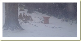 during the storm 1
