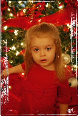 [DSC_6185_framed[5].jpg]