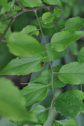 DSC_0053 DSC_0053