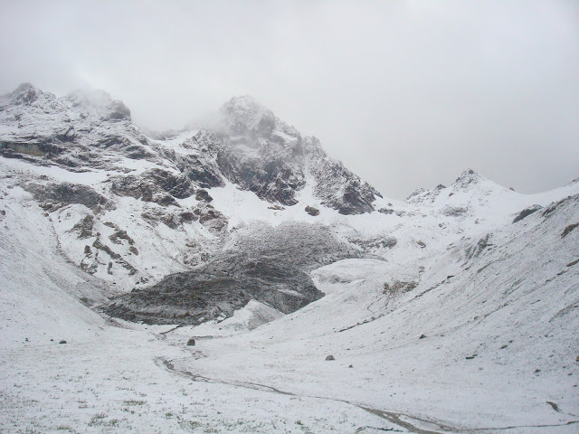 DSC06741.JPG