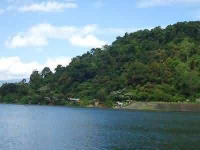 lush hill