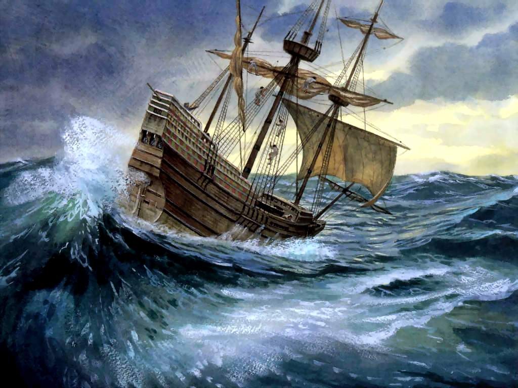 [mayflower[11].jpg]