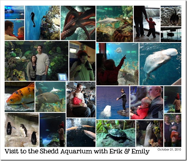 Visit to the Shedd Aquarium w- E&e - October 21, 2010