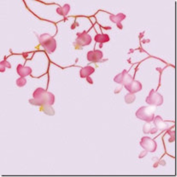 pirouetteclassiccard.hermanyu.com