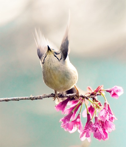 [ConductforSpring.John&Fish[3].jpg]