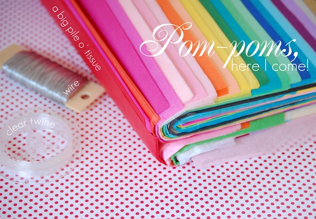 [pompoms.itsprettygood.com[3].jpg]