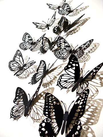 [PaperButterflies12.xylocopa.com[3].jpg]