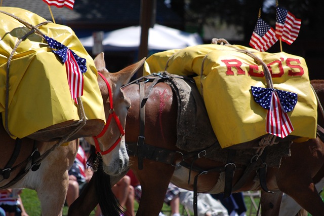 [DSC_0190_2[13].jpg]