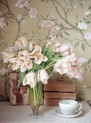 [tulips.sandralane.sarahkaye[5].jpg]
