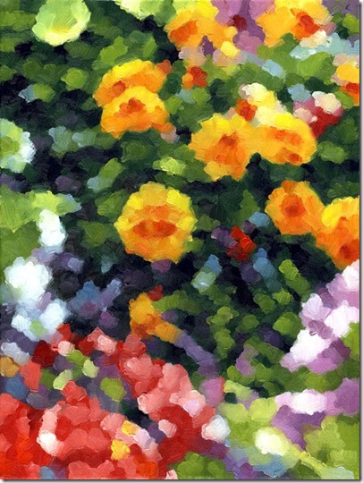 Field of Flowers.mirosinovcic