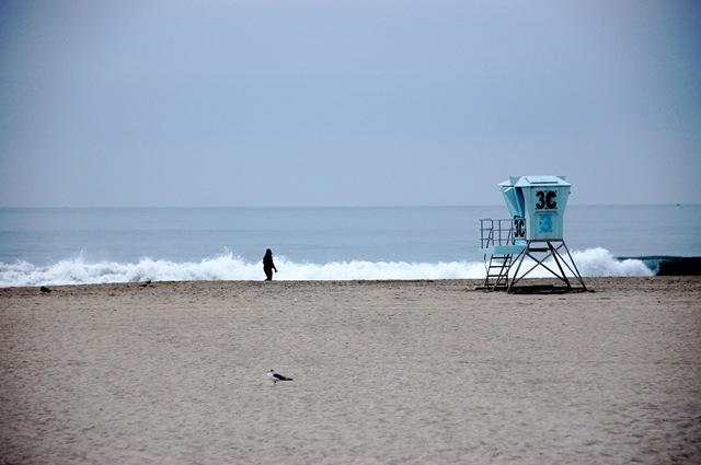 [DSC_0643[3].jpg]