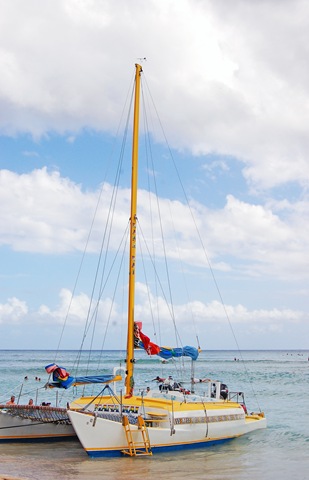 [DSC_0226[3].jpg]