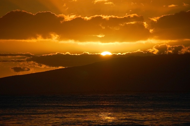 [DSC_0565[3].jpg]