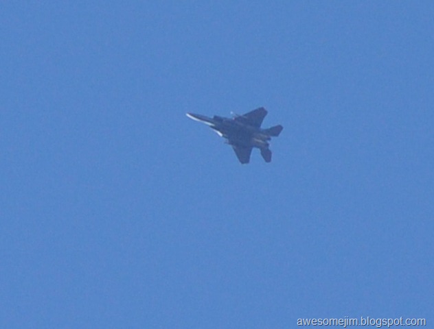 [F-15EagleAug252010e[4].jpg]