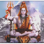 shiva_01.jpg