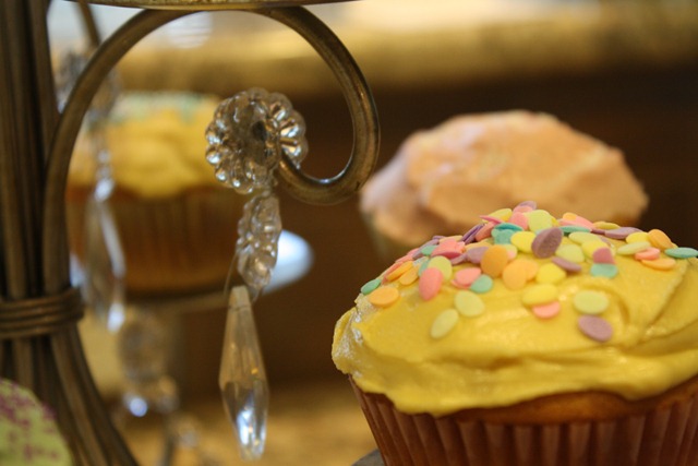 Cupcakes 052