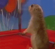 http://lh6.ggpht.com/_8B6afOcoUio/S43UdHaEGOI/AAAAAAAAAMo/KLroh9fFoOA/s400/51293139.png