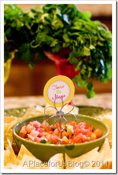 Cinco De Mayo Party4