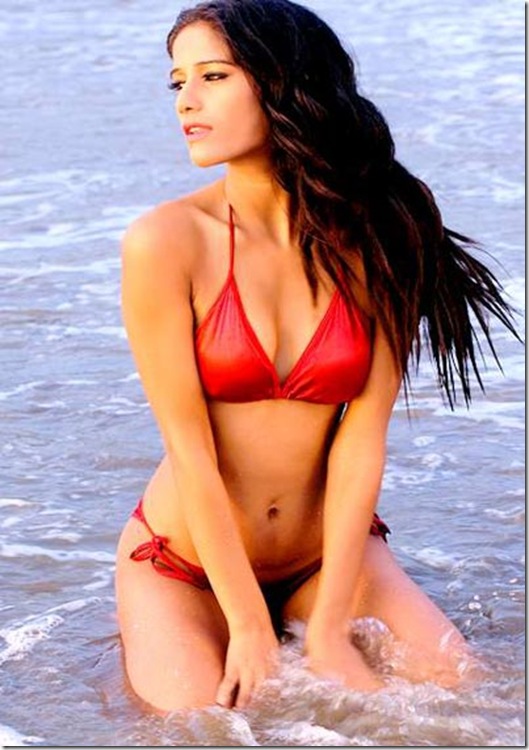 poonam-pandey-hot wallpapers poonam-pandey-hot wallpapers