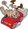 [car 5[10].jpg]